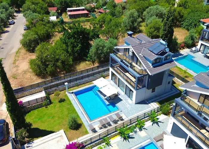 Ami Tai *