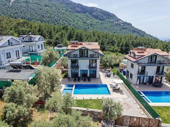 Ami Tai Fethiye
